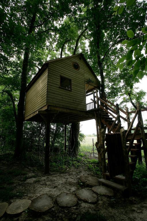 La Cabane Aux Secrets - Au Milieu De Nulle Part Outines Стая снимка